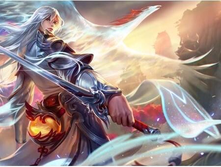 他作为法国 他作为法国