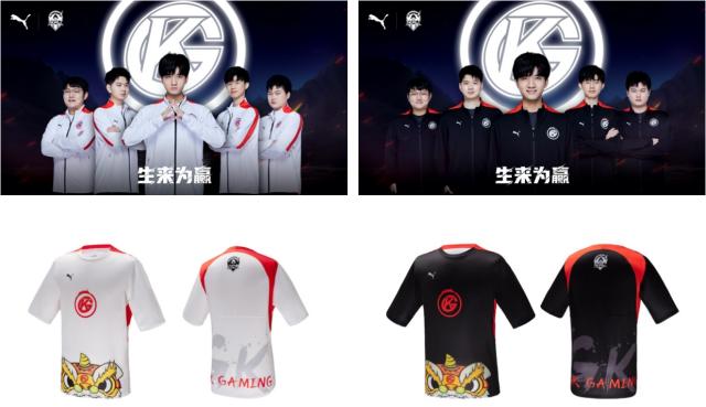 即插即用的 即插即用的