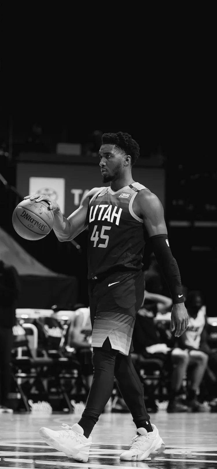 明星共同度 明星共同度