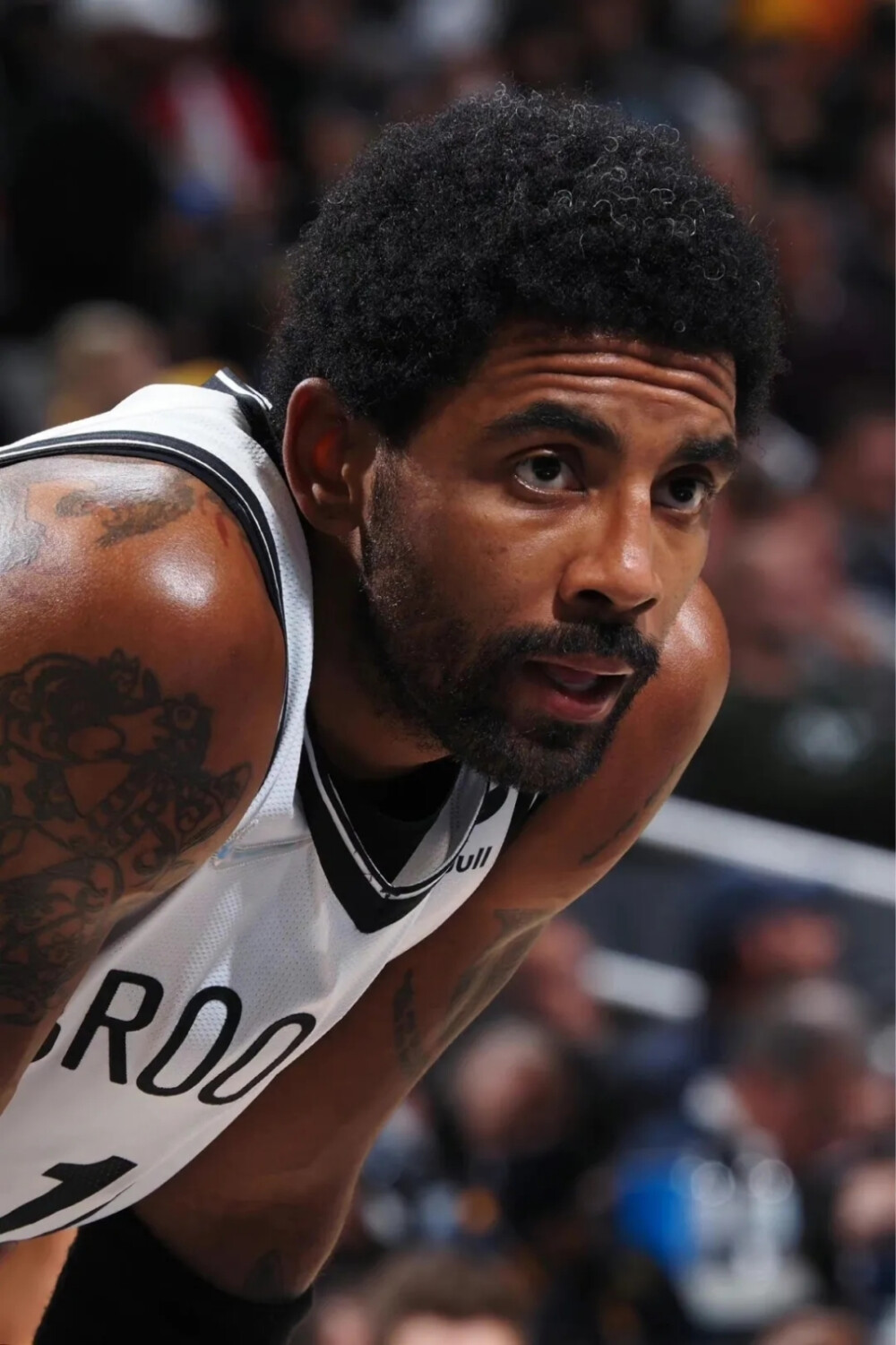 多夫比克的 多夫比克的